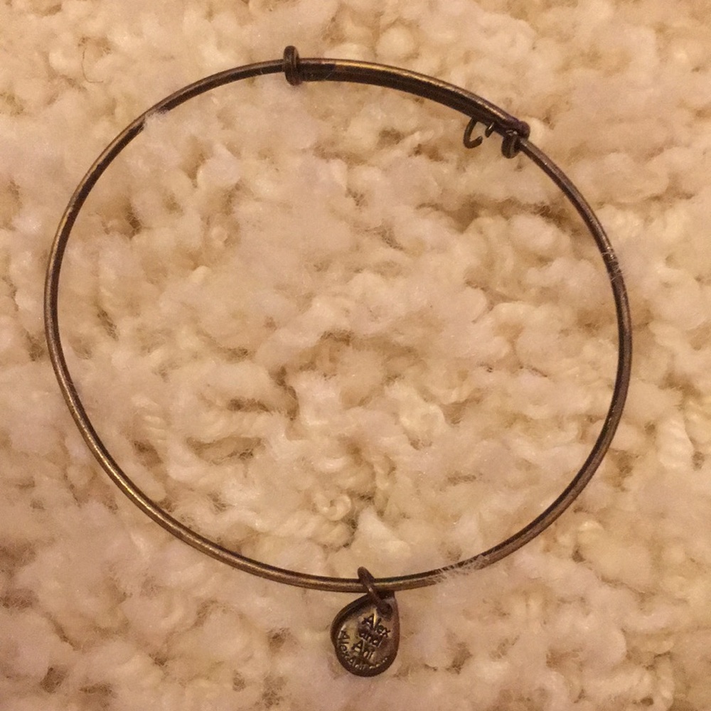 Alex and Ani bracelet without charm